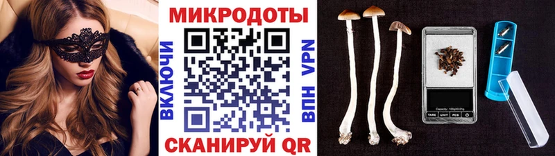 Псилоцибиновые грибы Magic Shrooms  мега рабочий сайт  Андреаполь 